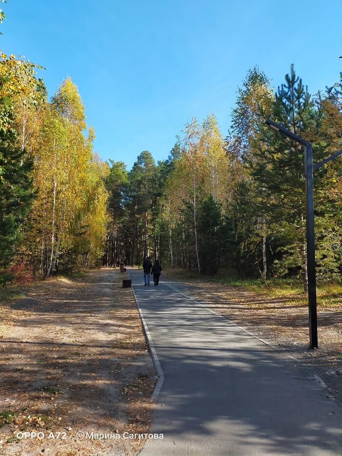 Экопарк и экотропа в районе Рябково (Курган). Фото: Марина Сагитова / ВКонтакте