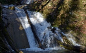 Водопады вокруг Сочи 33 водопада. Фото: Николай Лебедев / https://lebedev.world/