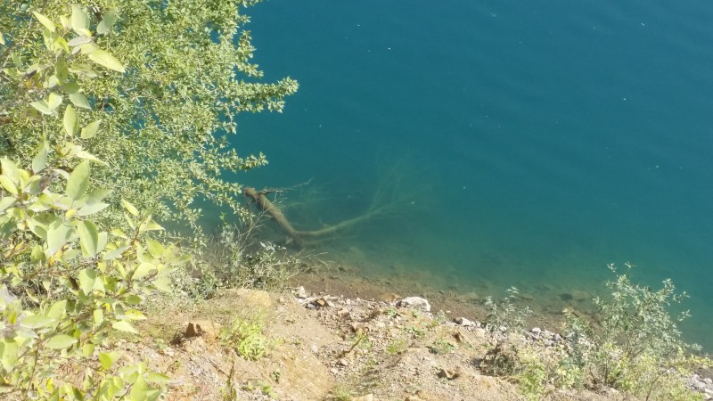 2 сентября 2018 года Глубокое (Шавринское) озеро Уходя вглубь. Автор: Дмитрий Гордеев