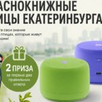 Онлайн-викторина про краснокнижных птиц города Екатеринбурга. Сроки проведения продлили