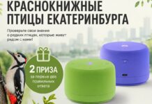 Онлайн-викторина про краснокнижных птиц города Екатеринбурга. Сроки проведения продлили