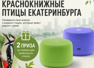 Онлайн-викторина про краснокнижных птиц города Екатеринбурга. Сроки проведения продлили
