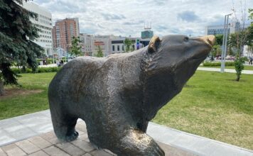 Пермские мишки