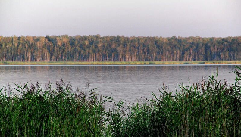 Озеро Подборное