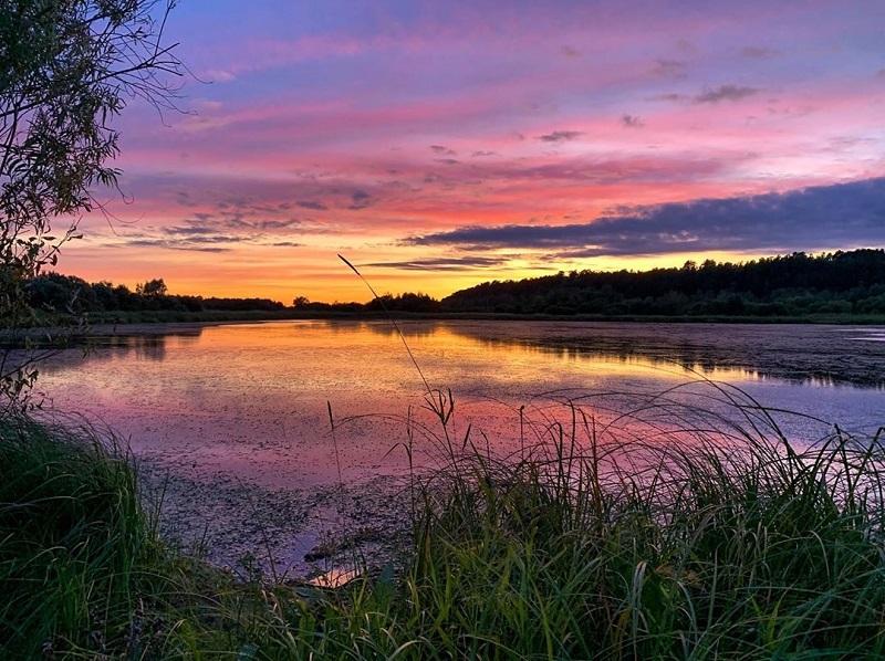 Урочище «Барсова гора». Фото: Denis_Ayratovich