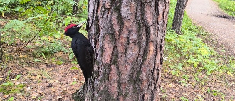 RTGTdQQcBKnE1OupvH-Xb75mcxe9k06ukkVOWZWR0BbH9wxyK91Mq4azk2TcWLfN6-BBGnBk1LKlGY9BFS9vFY2Z