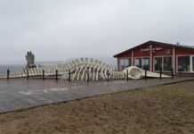 Териберка. Суровая красота Севера