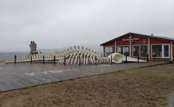 Териберка. Суровая красота Севера