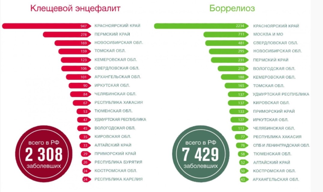 Статистика укусов клещей в 2022 году
