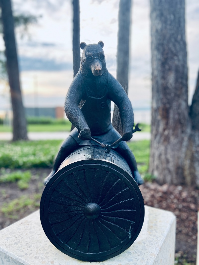 Таня Давыдова, Мишка с авиадвигателем