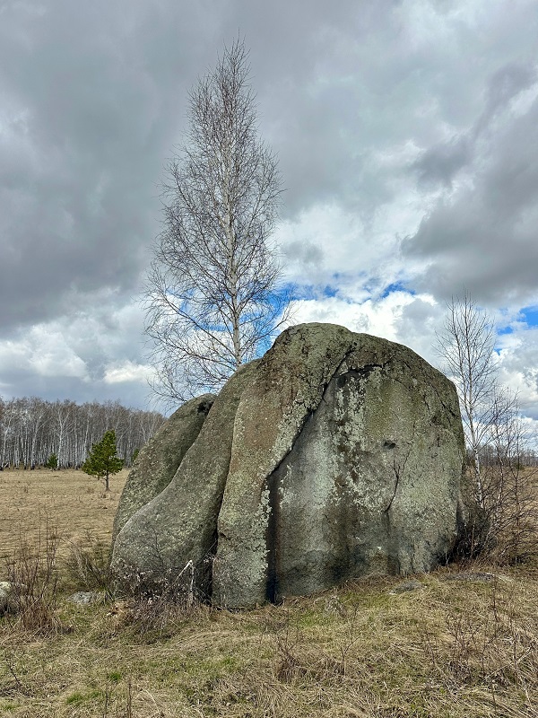 Краснинские слоны. Фото: Ольга Колосова / ВКонтакте