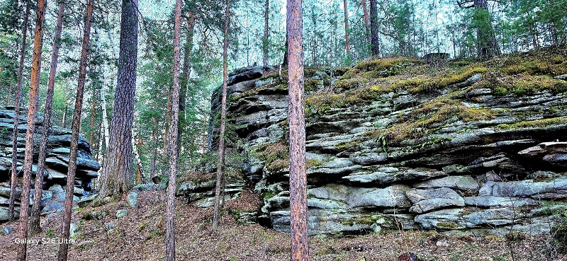 Исетская стена. Фото: Марина Чеботаева / ВКонтакте