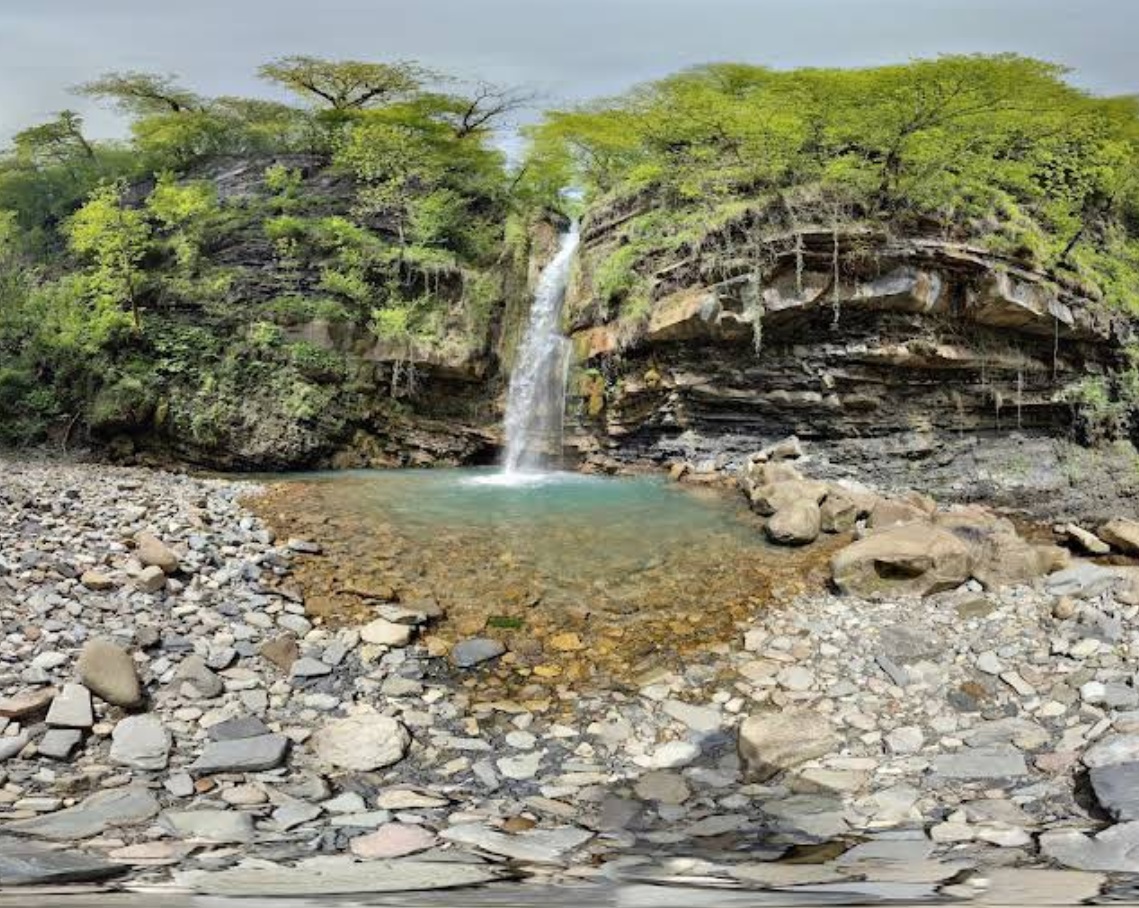 Игристый Роман Николаевич / google.com/maps