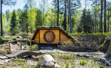 Дендросад Суводского лесхоза-техникума, Советск, Кировская область