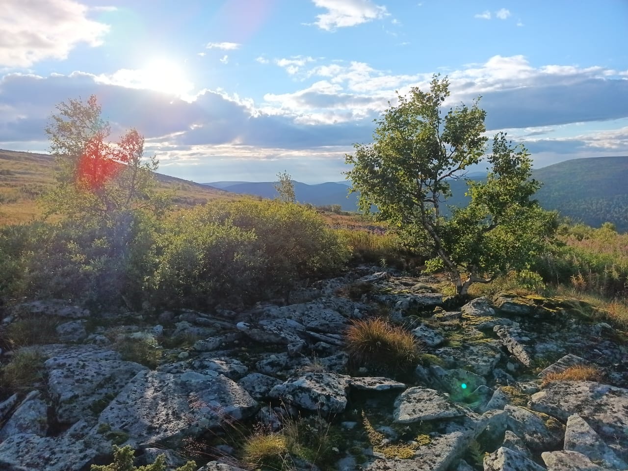 Северный Урал. Фото: Роман М.