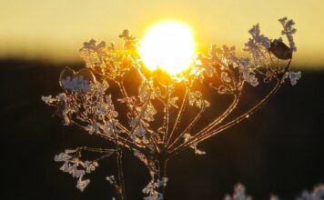 Романтичный Урал: места, где можно найти, приворожить или сохранить любовь! Верите?