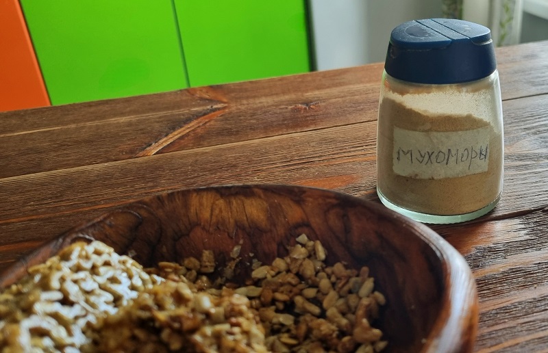 Дональд Трамп и инопланетяне. Аномальные и загадочные зоны на Урале и в России. Фото: Марина Чеботаева