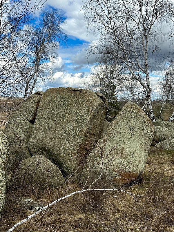 Краснинские слоны. Фото: Ольга Колосова / ВКонтакте
