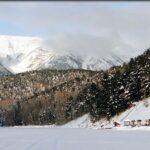 Бухта Змеиная и горячий источник озера Байкал Бухта Змеиная и горячий источник. Фото: Ольга Варежкина