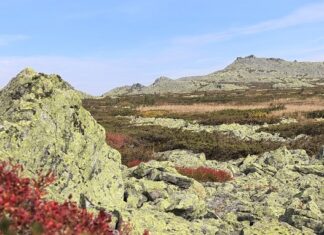 Гора Ослянка: как добраться, фото