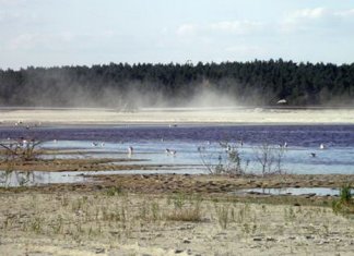 Березовская пустыня