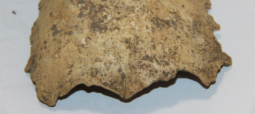 В пещере Шульган-Таш нашли череп ребенка — ученые уже его изучают