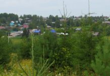 Эколого-туристическая тропа в д. Соколово (Верещагинский район)