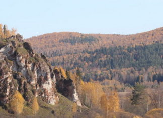 Саранинская пимокатня