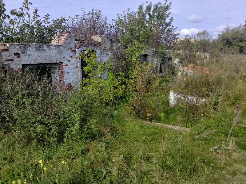 Воздвиженка. Фото: Виталий Авиатор / ВКонтакте