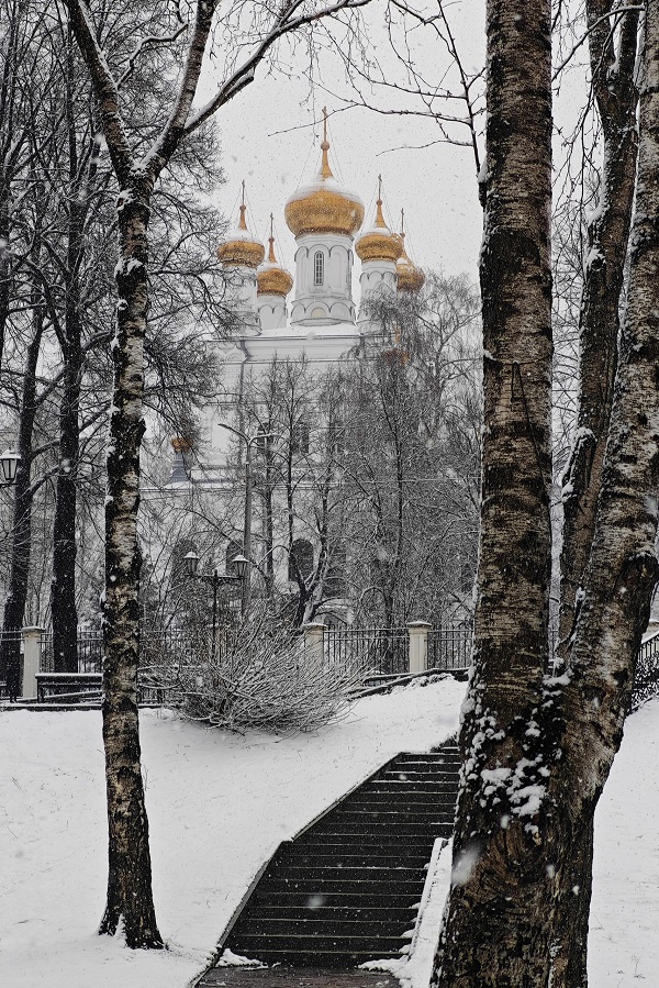 «Райский сад» в Перми. Фото: ᥴ ᧐ ᤋ ᥱ ρ ц ᥲ ᥔ / ВКонтакте
