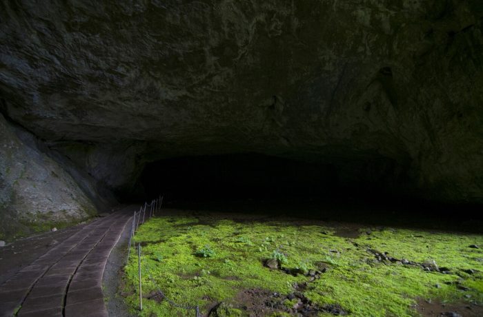 Шульган-Таш (Капова пещера)