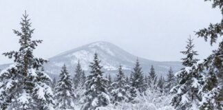 Плато Кваркуш, Пермский край: что случилось с туристами в уральских горах?