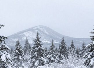 Плато Кваркуш, Пермский край: что случилось с туристами в уральских горах? Плато Кваркуш, Пермский край: что случилось с туристами в уральских горах?