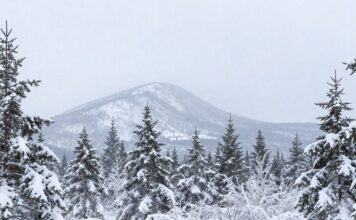 Плато Кваркуш, Пермский край: что случилось с туристами в уральских горах? Плато Кваркуш, Пермский край: что случилось с туристами в уральских горах?