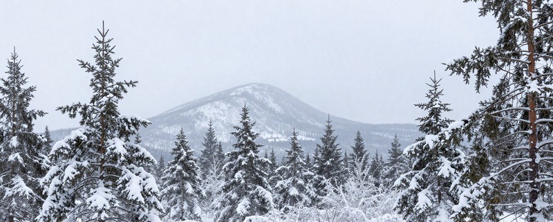 Плато Кваркуш, Пермский край: что случилось с туристами в уральских горах? Плато Кваркуш, Пермский край: что случилось с туристами в уральских горах?