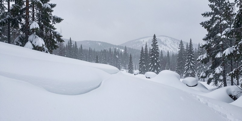 Плато Кваркуш, Пермский край: что случилось с туристами в уральских горах?