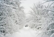 Туристы пропали в Уральских горах — гора Ослянка, Пермский край!