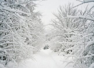 Туристы пропали в Уральских горах — гора Ослянка, Пермский край! Туристов нашли