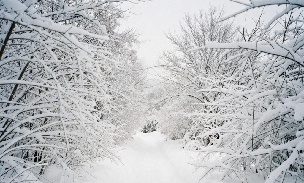 Туристы пропали в Пермском крае (гора Ослянка)