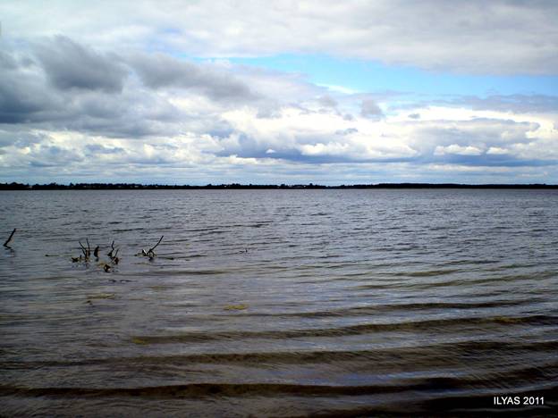 Западный берег озера Горькое