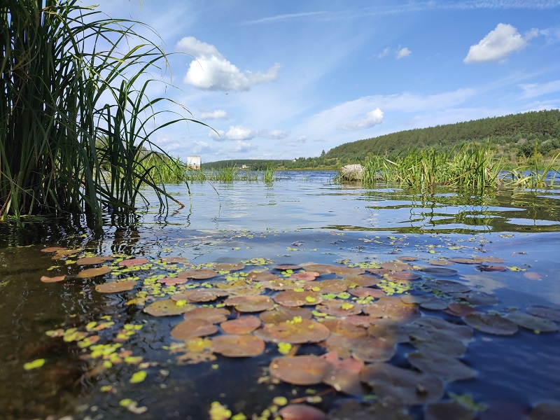 Дом на воде в Свердловской области