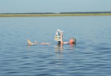 Курганская область, интересное на Урале, самый большой в России смайлик, Книга рекордов России, Ленину 100 лет, надпись из деревьев, соленое озеро, Медвежье озеро, самый протяженный эстафетный заплыв, река Тобол, Курган, село Маслянское, история Урала, река Исеть
