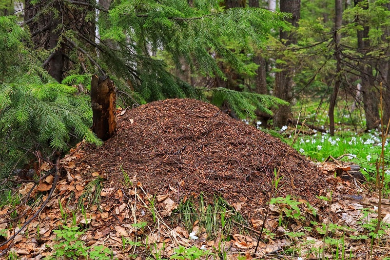 Хребет и гора Юрма. Фото: Александр Гусев / https://alexangusev.ru/