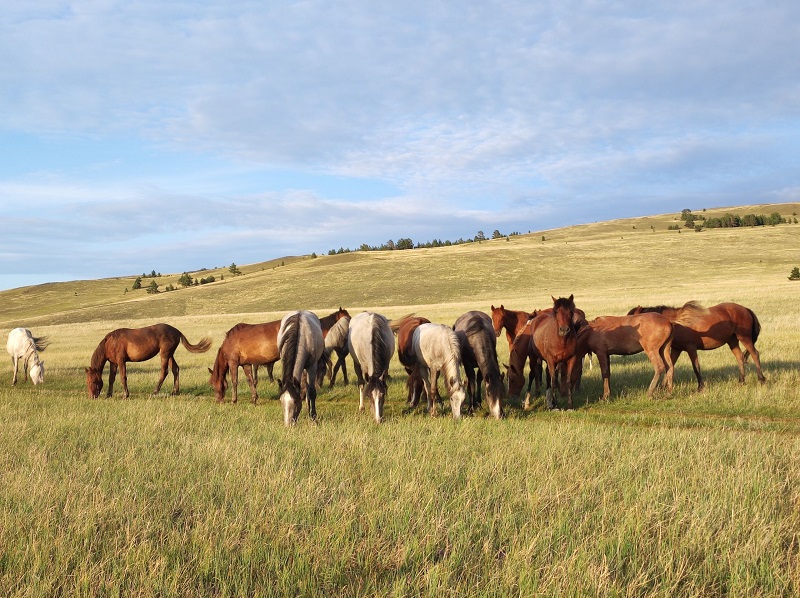 Бухта Ая. Фото: Ксения Клюева / https://topbaikal.ru/