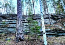 Исетская стена. Фото: Марина Чеботаева / ВКонтакте