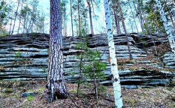 Исетская стена: еще один интересный гранитный останец в окрестностях поселка Исеть Исетская стена. Фото: Марина Чеботаева / ВКонтакте