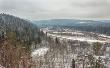 Результаты конкурса статей «Наш Урал»: 4 декабря 2017 года