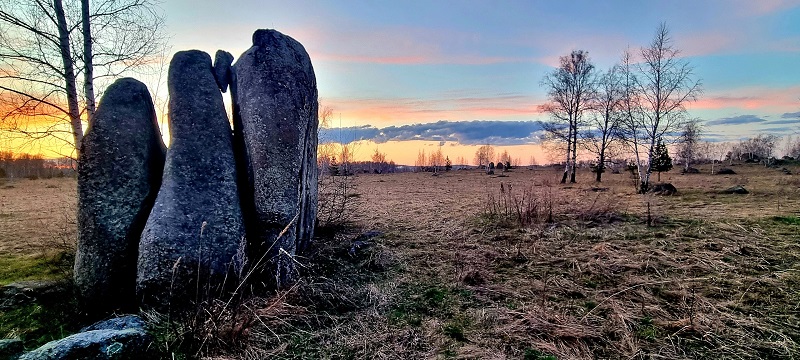 Краснинские слоны. Фото: Марина Чеботаева / ВКонтакте