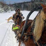 Единственные в России конно-санные маршруты