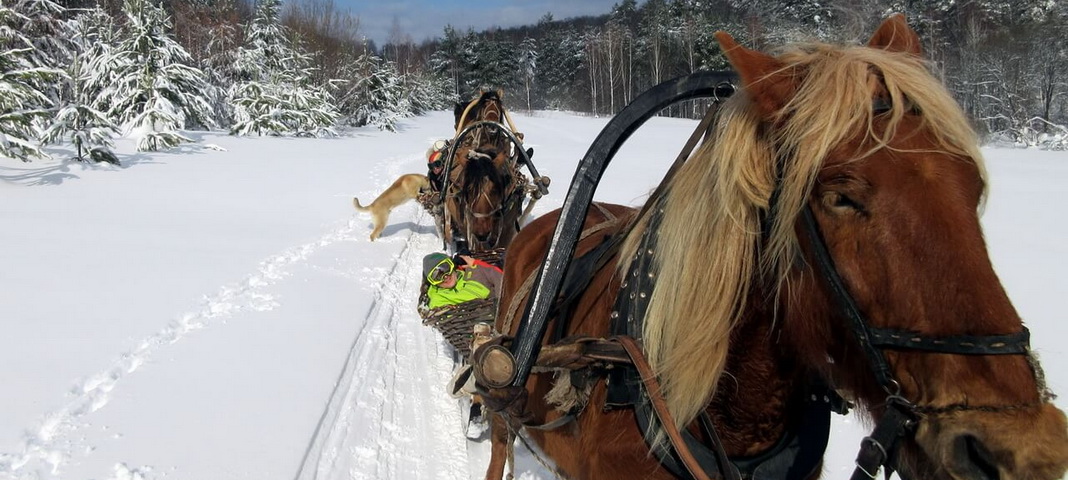Единственные в России конно-санные маршруты